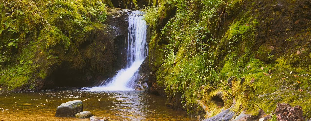 a little waterfall deep in the f