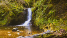 a little waterfall deep in the f