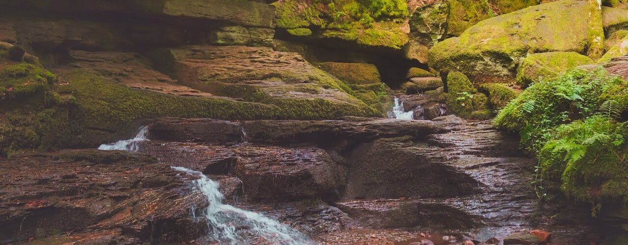 monbachschlucht forest stream in