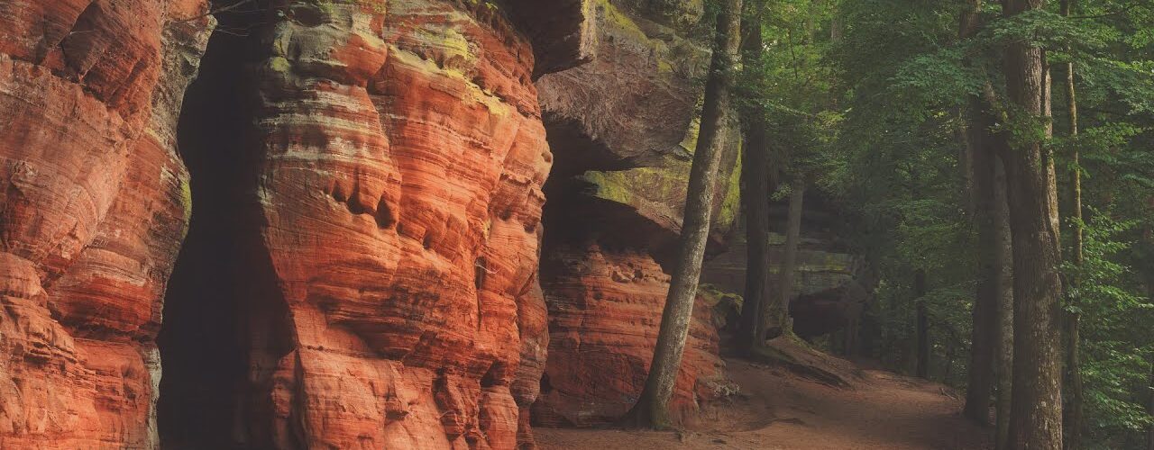 Altschlossfelsen Eppenbrunn: Amber Cliffs & Emerald Woods 1 altschlossfelsen eppenbrunn ambe