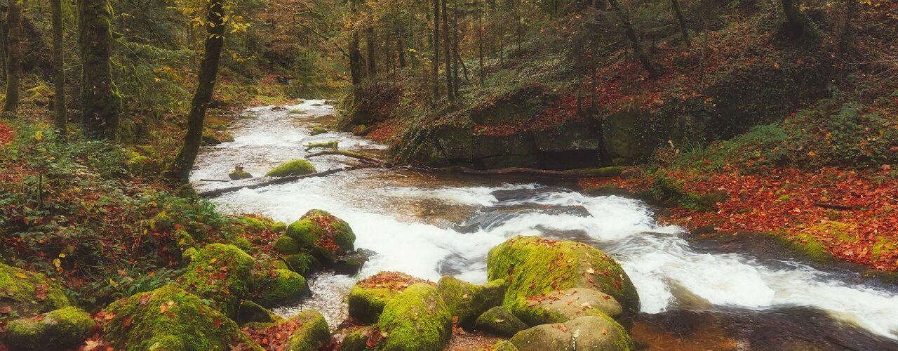 autumn creek natural white noise