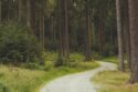 no ai pure nature 9 hours of sum