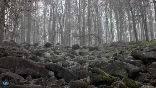 Sea of rocks Felsenmeer Odenwald