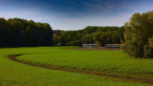 Wetlands Rhein